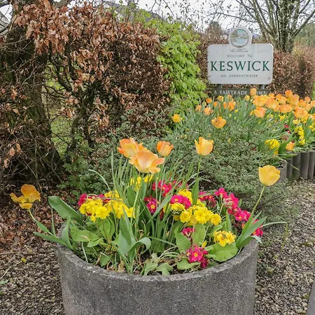Nyaraló The Paddock